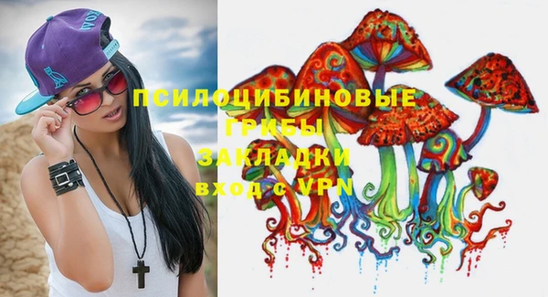 стаф Алексеевка